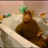 Shower_Alf